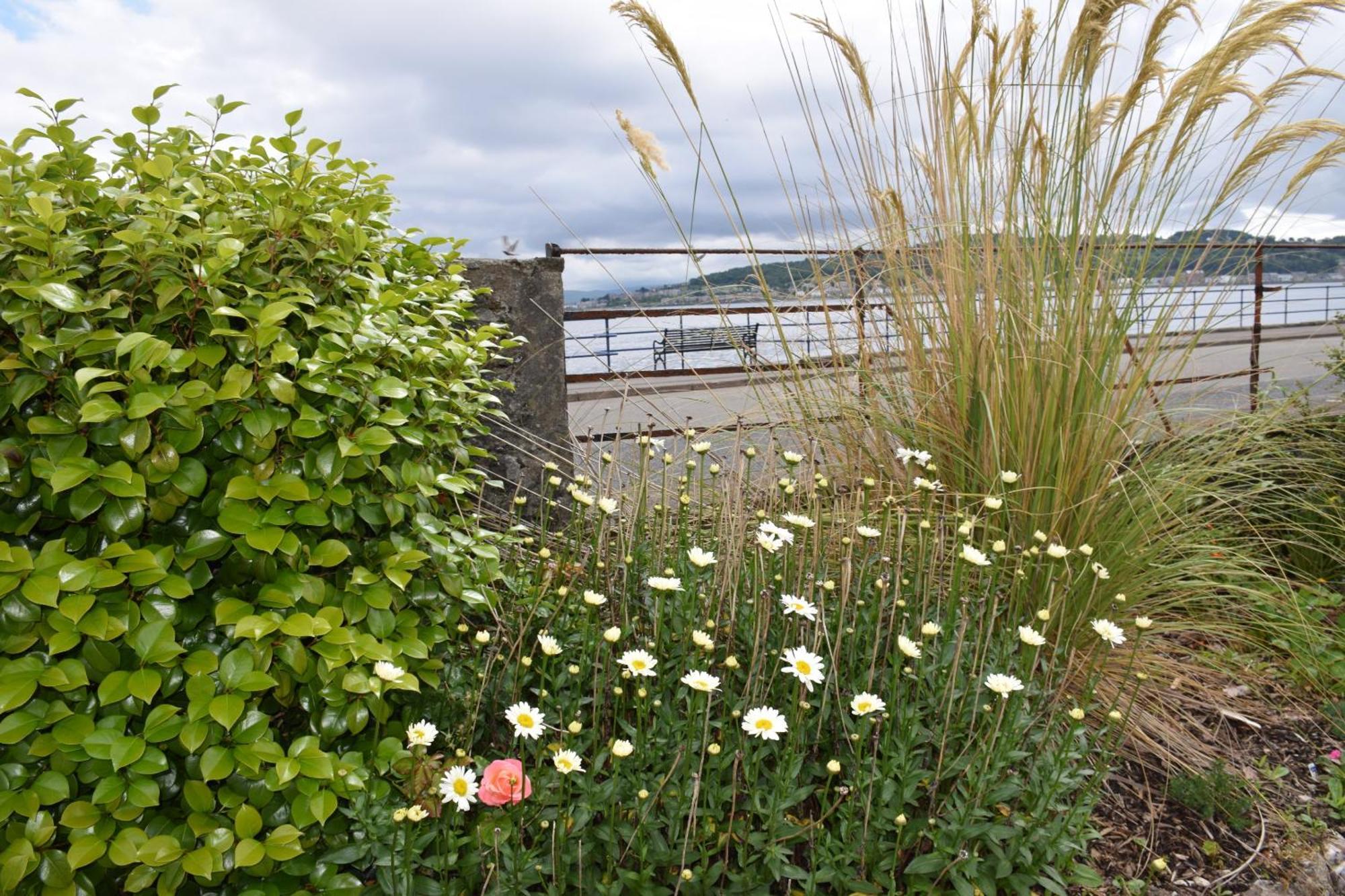 One Marine Place Port Bannatyne Luaran gambar